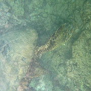 Picture 111
